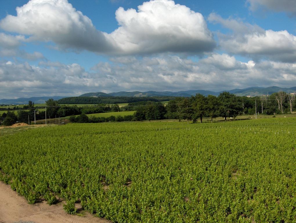 Corcelles-en-Beaujolais Coeur De Beaujolais 아파트 외부 사진